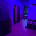 Party With Sauna & Karaoke 公寓 *