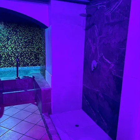 Party With Sauna & Karaoke