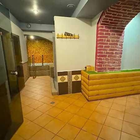 Apartment Party With Sauna & Karaoke