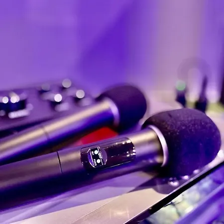 Party With Sauna & Karaoke Apartment