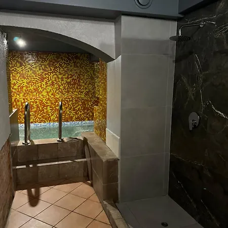 Apartment Party With Sauna & Karaoke Riga